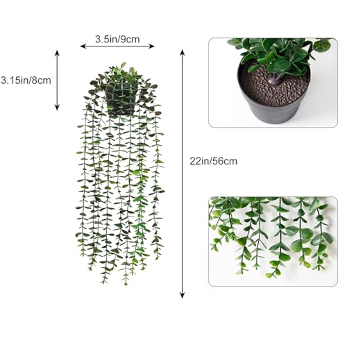 Reviews y listado de Oferta plantas listamos los 10 mejores. 8 Imagen adicional