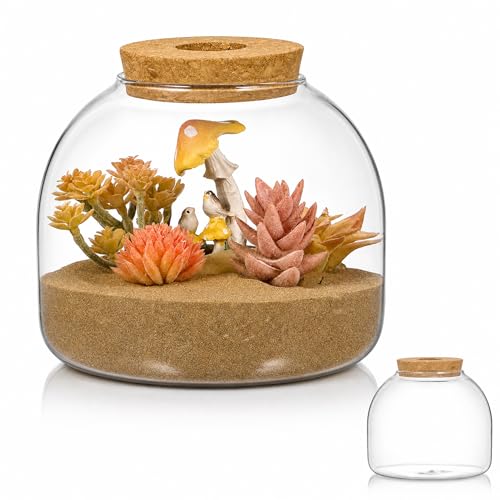 Image of POPETPOP Glass Terrarium with Cork Lid - Glass Fish Tank Plant Terrarium, Tabletop Succulent Planter Aquarium for Hydroponic Plant & Small Fish - for Home, Office Decor