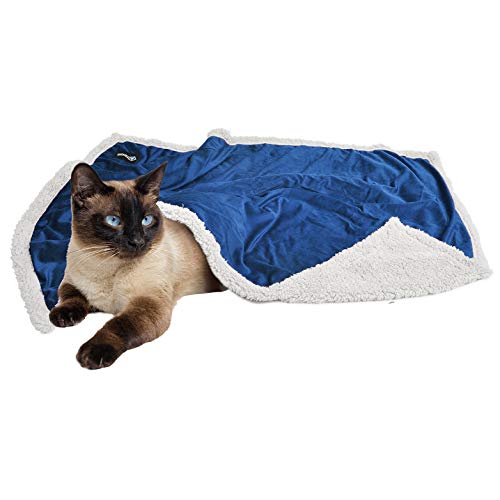 Puppy-Blanket-Super-Soft-Sherpa-Dog-Blankets-and-Throws-Cat-Fleece-Sleeping-Mat-for-Pet-Small-Animals-45x30-Blue - Cucciolini Doodles   Puppy-Blanket-Super-Soft-Sherpa-Dog-Blankets-and-Throws-Cat-Fleece-Sleeping-Mat-for-Pet-Small-Animals-45x30-Blue