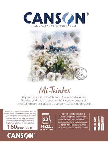 CANSON MI-TEINTES 24X32 160G Weiß, Block 20 Seiten