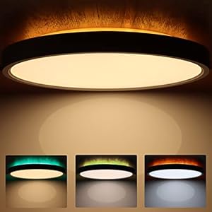 Dexnump LED Ceiling Light Flat Dimmable LED with Remote Control 30 W 3000 lm 30 cm x 2.5 cm RGB Colour Changing Backlight 10 W IP44 Splashproof for Bedroom Living Room Bathroom Hallway Kitchen Cellar