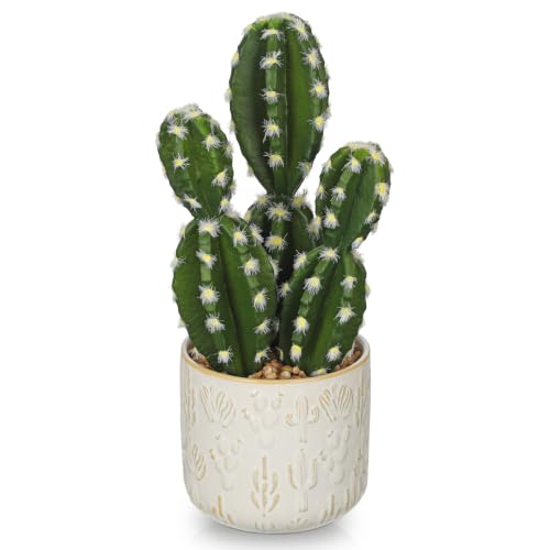 Image of Small Artificial Cactus Plants Indoor with Pot Faux Potted Cactus Decor
