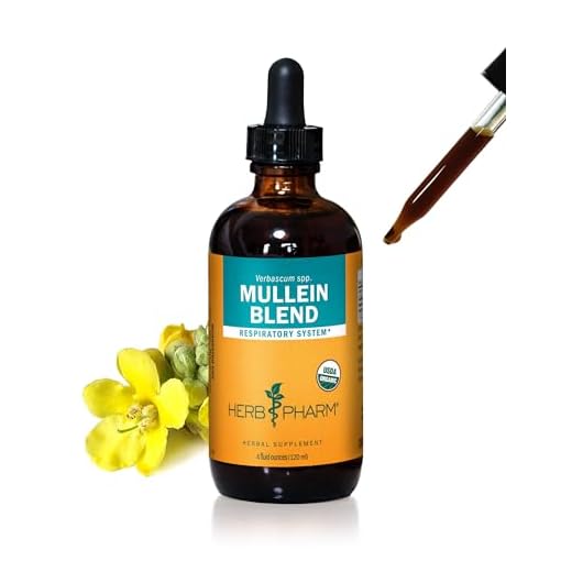 Organic Mullein Blend Extract for Respiration