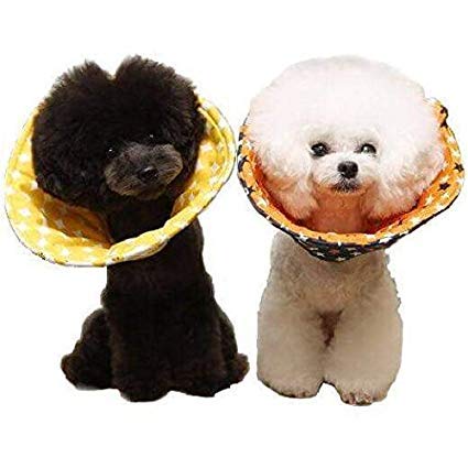 ykamakuradog qhbOzRbgGUxX Iׂ {^ }WbNe[v GUxXJ[ (R×}WbN^Cv, M)