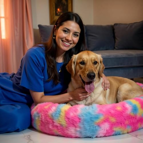 Image of ZEXSAZONE Summer Comfortable Durable Both Sides Usable & Washable Pet Bed | Cat Bed | Puppy Bed | Dog Bed | Medium Dog Bed for Cats & Puppies (Rainbow, Medium 70 x 70 x 15 cm)