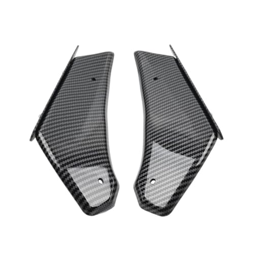 Carénage de moto ailerons d'appui pour sorties sur circuit S1000RR