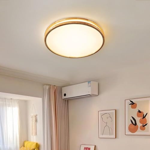 Panneau lumineux LED 50cm avec abat-jour acrylique moderne