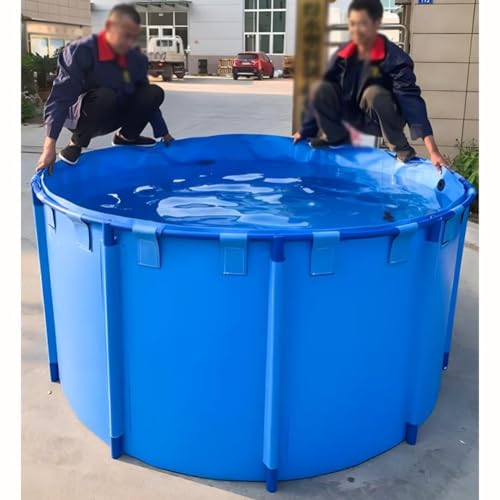 Piscine extérieure facile à installer et aquarium hors sol - 3