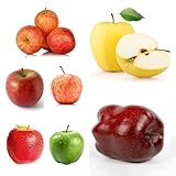 150samen äpfel - apfelbaum, winterharte für garten, apfel balkon garten spalierobst dekopflanzen
