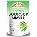 Organic Dried Soursop Leaves by Source Nutrition - Pure Graviola for Tea, Whole Dried Leaves, High in Acetogenins - 2 oz Resealable Bag (Soursop Leaves)
