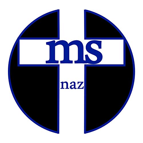 Bible 101 @ MSNaz Titelbild