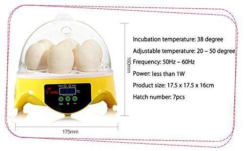 Diagram showing dimensions and key specifications of the MIFXIN Digital Mini 7-Egg Incubator