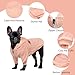 Meioro Reißverschluss mit Kapuze Hund Pullover Haustier Kleidung für Hund & Katze, niedlich, warm für Winter, Welpen & französische Bulldogge (XL, Rosa)