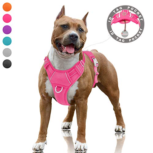Best Harnesses For Huskies