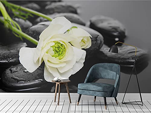 Fotomural Vinilo Pared Piedras Zen | Fotomurales pared | Fotomural Decorativo | Vinilo Decorativo | Varias Medidas 100 x 70...