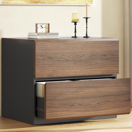 Image of ModernMate 2 Drawer Lateral File Cabinet for Home Office, 31.5W*28.7H