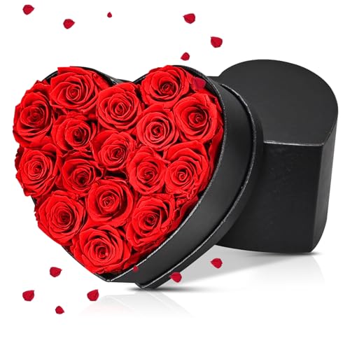 Liuzouwin Preserved Red Roses Gift Box, 16 Roses in Black Box with Bow, Forever Flowers for Birthday, Valentine's Day Mother's Day (Red -16)