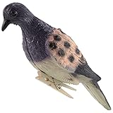 Janasiba