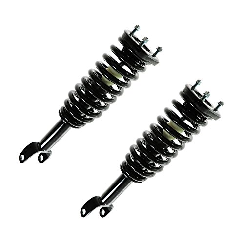 Image of TRQ Front Strut and Spring Assembly Set 2 Piece