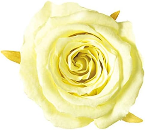 Millennium Art Pastel Yellow Vermeil Eineness Mini 9 Cylinder