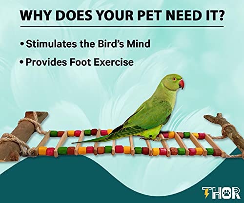 THOR-Small-Bird-Toys-Wood-Ladder-Colorful-and-Wooden-Hanging-Chewable-Budgies-Cockatiel-Finches-Kannur-Birds-3-Piece