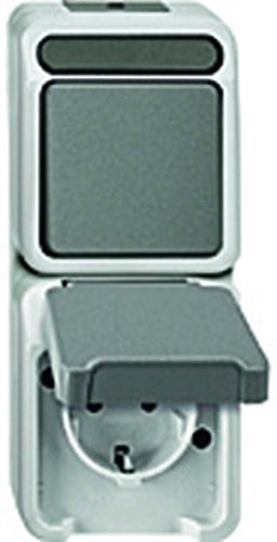 Schneider Electric Merten Kombination aus Schuko-Steckdose und Wechselschalter, Aquastar, Aufputz, lichtgrau, Artikelnummer MEG3495-8029