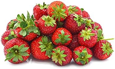 Seascape Everbearing Strawberry Bare Roots Plants, 25 per Pack, Hardy Plants Non GMO
