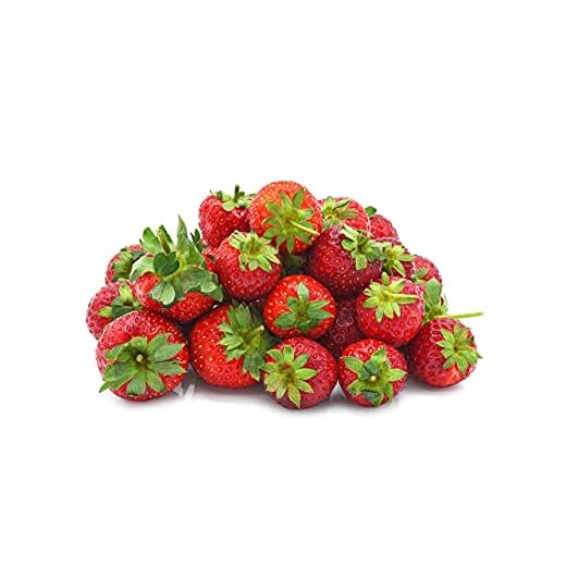 Seascape Everbearing Strawberry Bare Roots Plants, 25 per Pack, Hardy Plants Non GMO