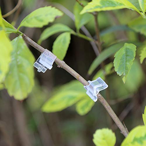 100 Stück Pflanzenveredelungsklammern, spezielle Veredelungsklammern für Tomatensämlinge, Veredelungsklammern für Auberginen, Veredelungsklammern für Sämlinge, Veredelungsklammern für Auberginen