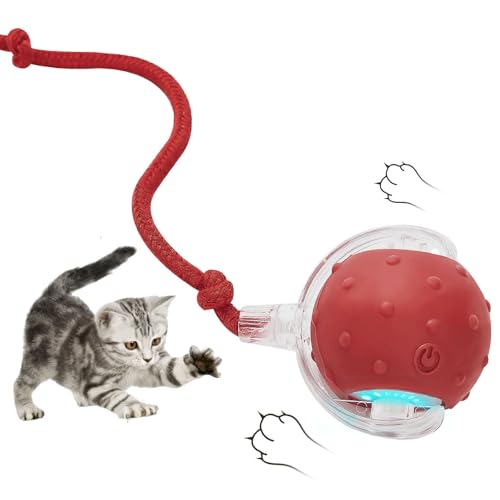 AMHSURET dC^NeBuL{[ - [OVR[L̂ቮLpAϋv̂銚ݖh~dLeB{[LEDCgtAދȎqL̂߂̊y^ߋ()