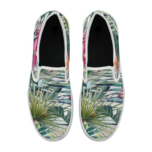 [SINYUIF] ���V�̗t �ԕ� �L�����o�X�V���[�Y �X�j�[�J�[ ���[�t�@�[ �f�b�L�V���[�Y �E�H�[�L���O�C �h���C�r���O�C ���[�J�b�g �y�� ������� �ʋC�� �����₷�� �J�W���A�� ���s �ʋ� �ʊw �j�����p