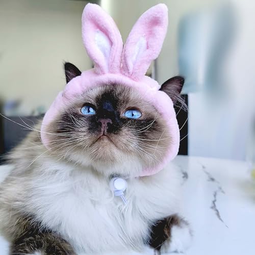Sombrero con Orejas de Conejo para Gatos y Perros Pequeños miniatura 3