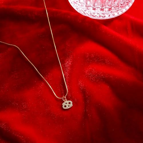 Image of SALTY Anti Tarnish Zodiac Sign Pendant Necklace for Women Men | Stylish Locket Neck Chain | Fashion Jewellery Accessories for Girls Boys | Minimal Jewelry | Ideal for Gifting | Gift for Diwali, Christmas, Marriage, Birthday
