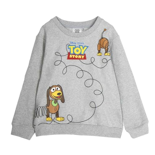 SUDADERA COTTON BRUSHED TOY STORY – 5 Years
