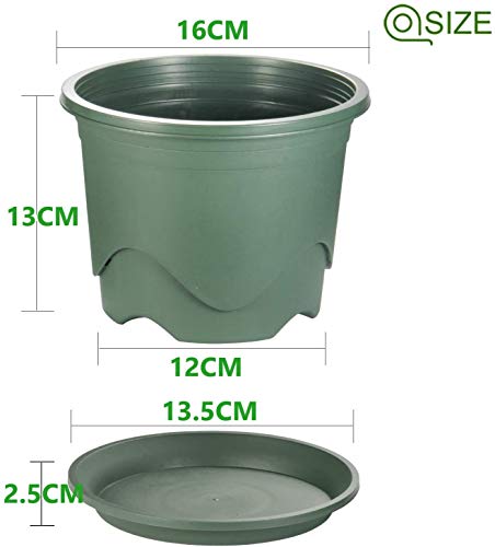 KAHEIGN 6 stuks plastic plantenpotten, 16 cm dikke bloempot, wortelcontrole, kwekerij, zaailingenplanter, decoratieve tuinplantcontainer met schotel voor binnen, buiten, bonsaiplanten (groen) - Afbeelding 6