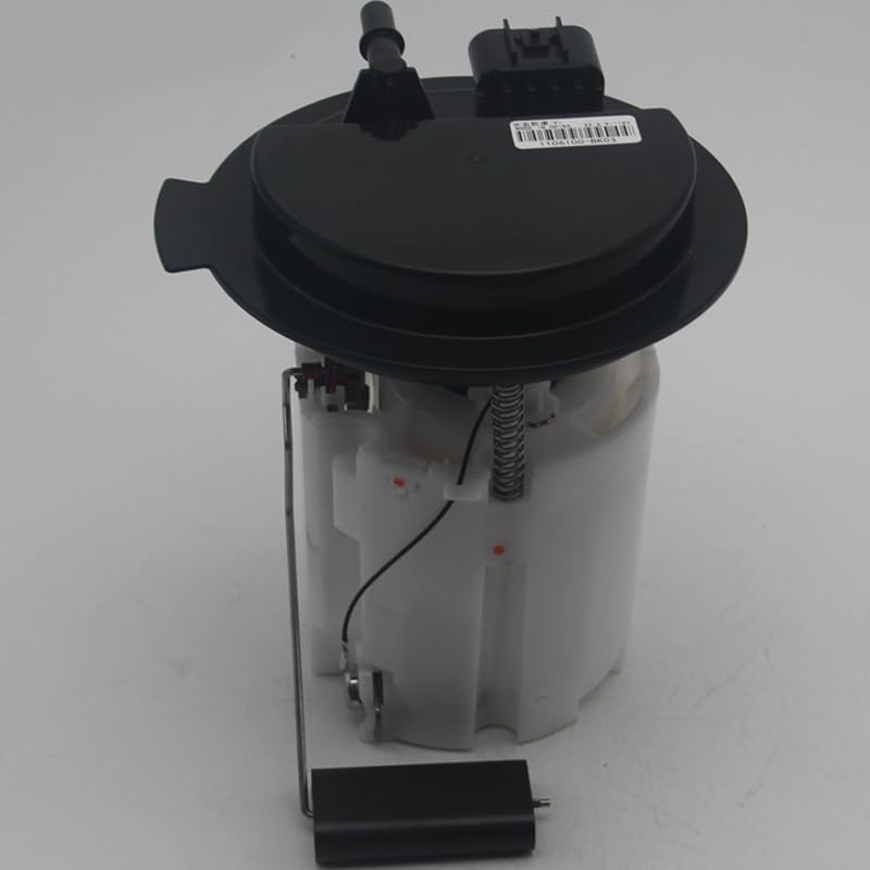 Fuel Pump Assembly Is Applicable for Chang'an Onuo Guoliu 1106100-BK03 1106100BK03