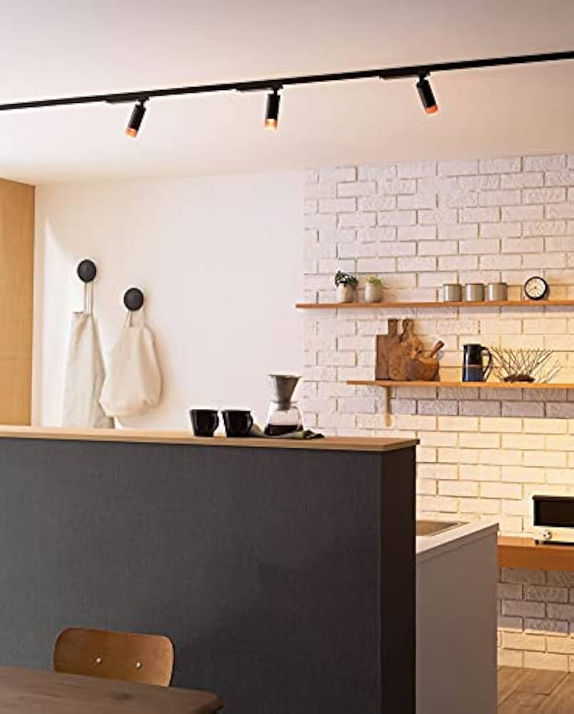 Amazon.co.jp: オーデリック 配線ダクトレール用 LEDスポット