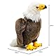 Uni-Toys - Weißkopfseeadler - 24 cm (Höhe) - Plüsch-Adler, Vogel - Plüschtier, Kuscheltier
