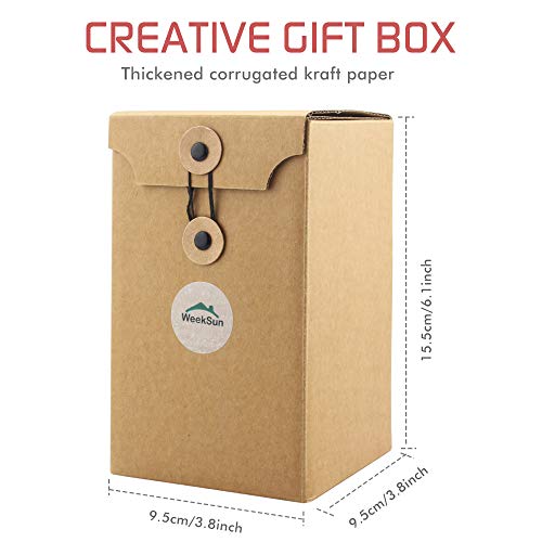    Not a Day Over Fabulous -12Oz Wine Tumbler Set Birthday Gifts for Women - Funny Mothers Day Wine Gifts for Mom, Wife, Her, Daughters, Aunts, Sister, Best Friends, BFF, Girlfriend, Coworkers(Rose Gold)