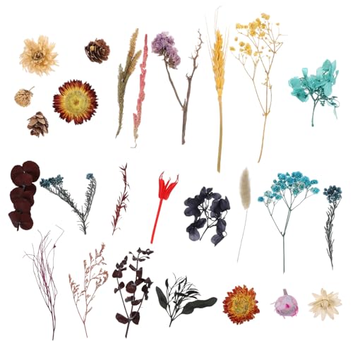 Materiales artesanales de flores secas en caja doble miniatura 1