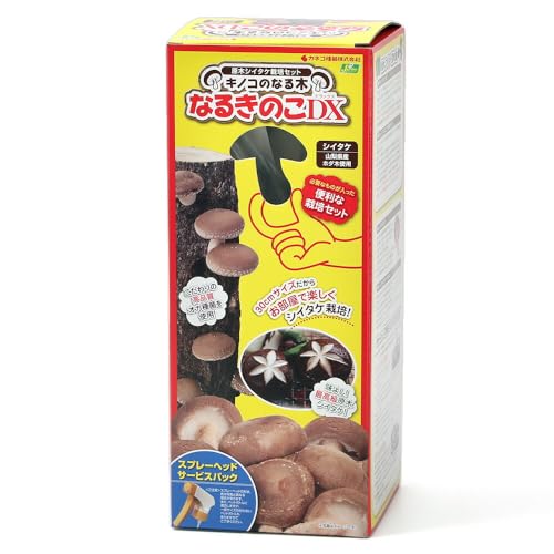 �ycharm�z�i�ϗt�A���j���̂��͔|�L�b�g ���؂��������͔| �Ȃ邫�̂��c�w�i�P�j �ƒ�؉� �k�C���~�G�����s��