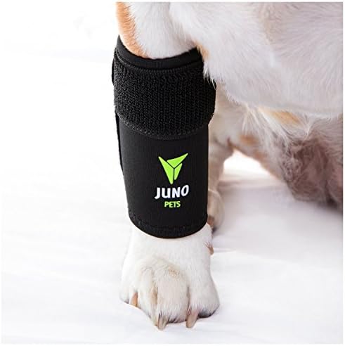 JunoPets Dog Canine Leg Knee Brace, Hock Joint Wrap for Heals and Prevents Injuries and Sprains Helps with Loss of Stability (Front Leg, Small/Med)