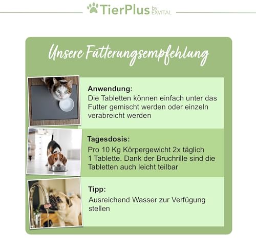 EXVital TierPlus Darm Aktiv Tabletten für Hunde & Katzen, Präbiotika Komplex für eine gesunde Darmflora- Nach Durchfall, Wurmkur, Antibiotika & Magen-Darm Infekten, 120 Tabletten, Made in Germany