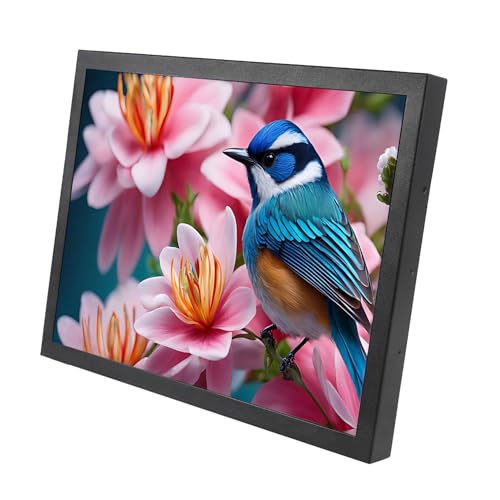 Image of VSDISPLAY 15'' 1024x768 LCD Monitor 4:3 Aspect Ratio with H /D /VGA /DVI Input | Metal Housing,for Industrial /Gaming Extra Monitor