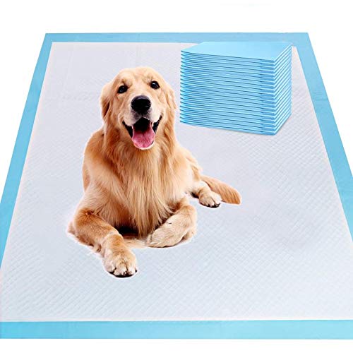 See full amazon price history chart for Cute Paws XL 28"x34" Thicker Heavy Absorbency Pet Training Puppy Pee Pads - Extra Large Disposable Polymer Quick Dry No Leaking Pee Pads for Dogs, Cats, Rabbits and Other House Training Pets, 20 count Cute Paws XL 28"x34" Thicker Heavy Absorbency Pet Training Puppy Pee Pads - Extra Large Disposable Polymer Quick Dry No Leaking Pee Pads for Dogs, Cats, Rabbits and Other House Training Pets, 20 count (B08GG6477Z) Amazon Price History, Amazon Price Tracker