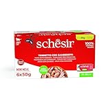 Schesir