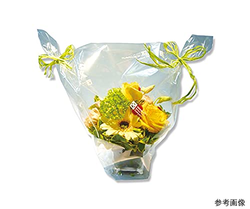Amazon | OPPフィルム＃40 30m入り GF004060-zzz | セロファン紙