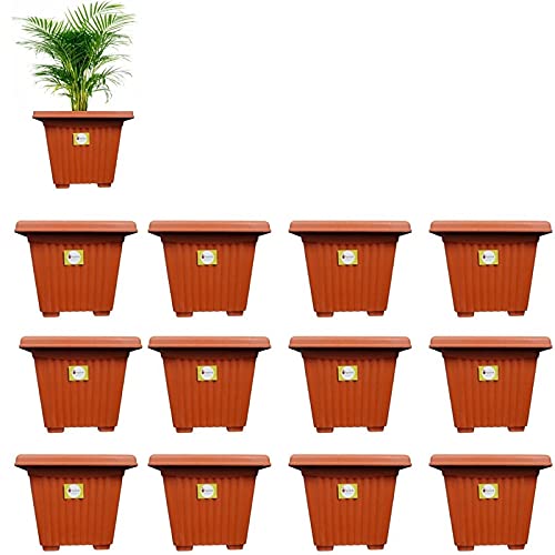 spylark Plastic Outdoor Plants Multicolour, 8 Inch, Pack Of 12