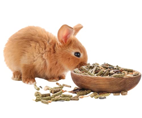 Foodie-Puppies-Rabbit-Food-Dry-Pellets-2-Kg-Highly-Premium-Nutritious-Diet-Suitable-for-All-Type-Rabbit