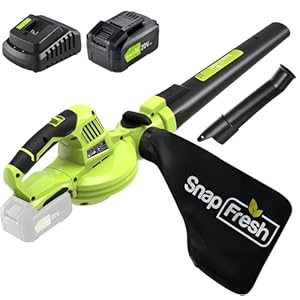 SnapFresh Cordless Blower & Vacuum – 2 in 1 Electric Blower with 4.0Ah Lithium Battery & 2h Fast Charger, 20V Handheld Vacuum with Bag for Small Trash, Car, Dust, Pet Hair, Corner Cleaning